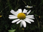 2004_07_45