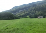 CIMG1449
