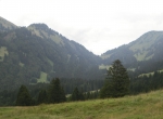 CIMG2872
