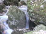 CIMG2881