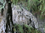 CIMG5212