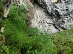CIMG5265