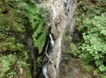 CIMG5268