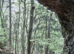 CIMG0793