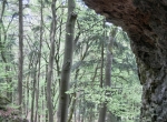 CIMG0794