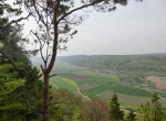 CIMG0795