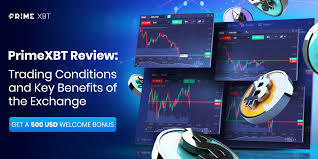 Maximize Your Trading Potential with the PrimeXBT App Maximize Your Trading Potential with the PrimeXBT App
